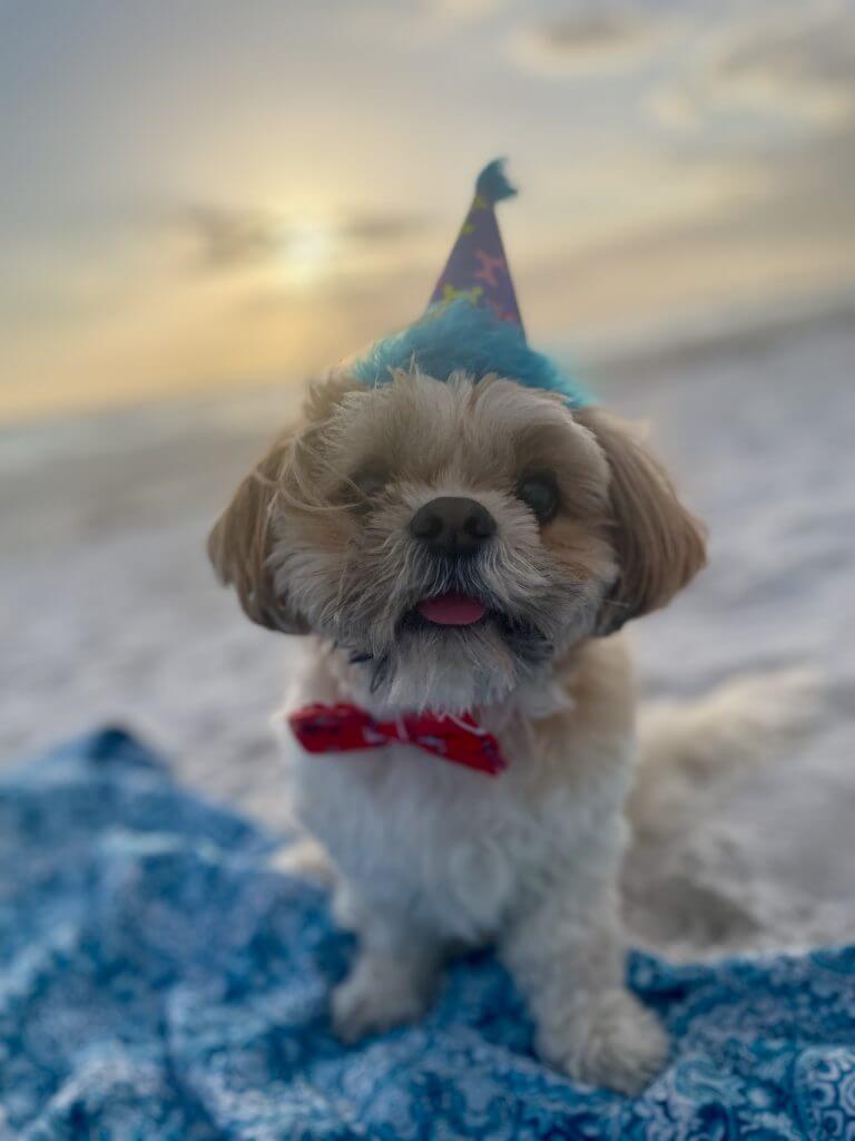 Knightro is ready to party on the beach.