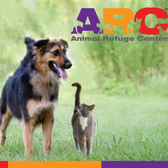 Large dog and gray cat standing together on grass with the colorful ARC Animal Refuge Center logo above.